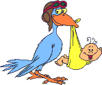 ciconga bambino 2.gif